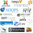 Content management systems